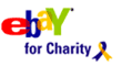 ebay for charity