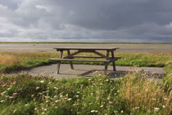 picnic bench