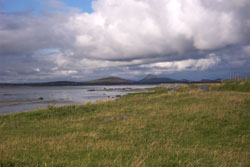 view from picnic bench