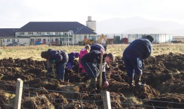 Tree planting in February 2007 at Iochdar School